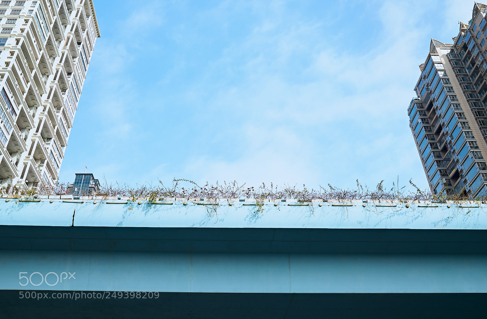 Sony a7R II sample photo. 蓝色 photography