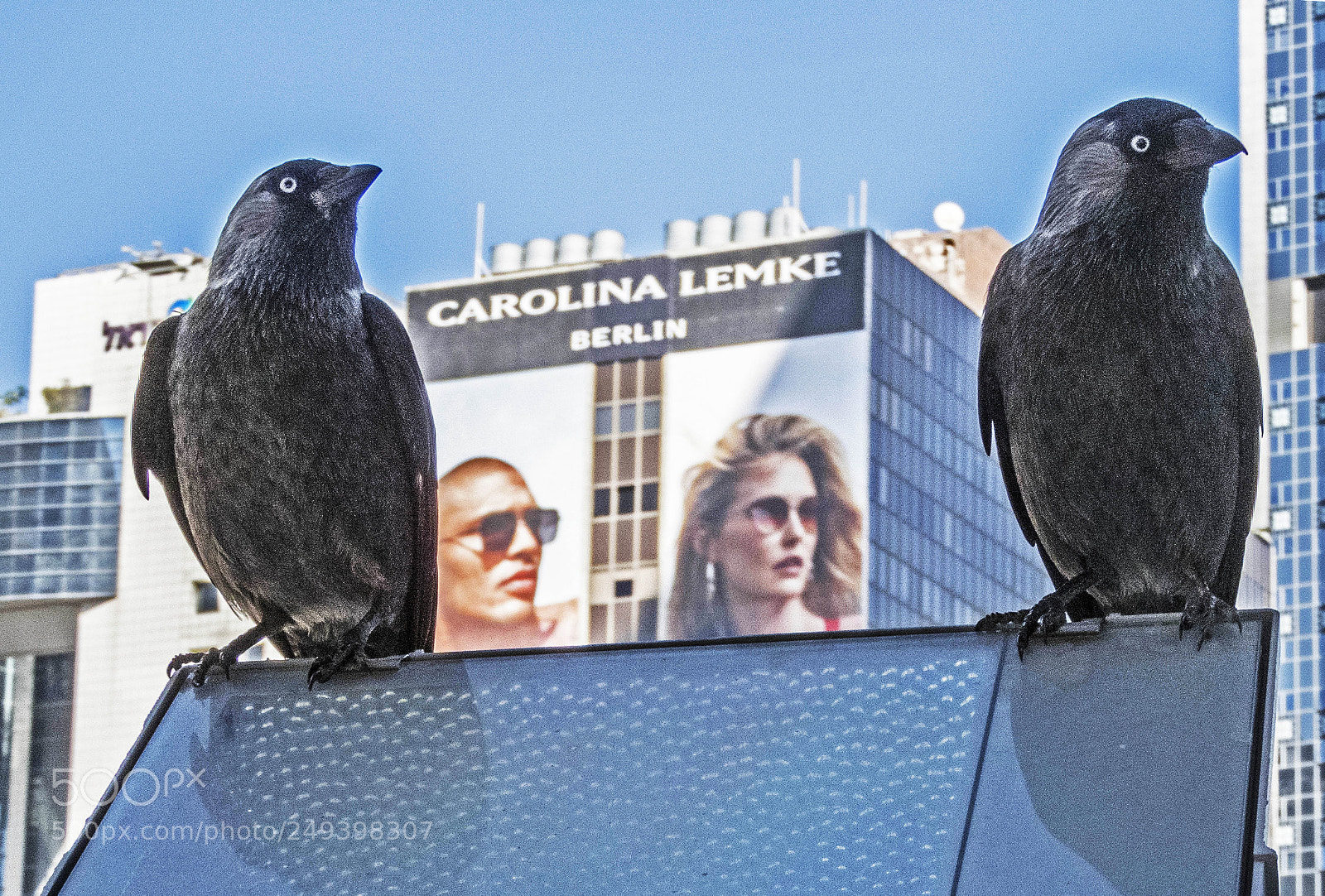 Nikon Coolpix B700 sample photo. Carolinas. photography