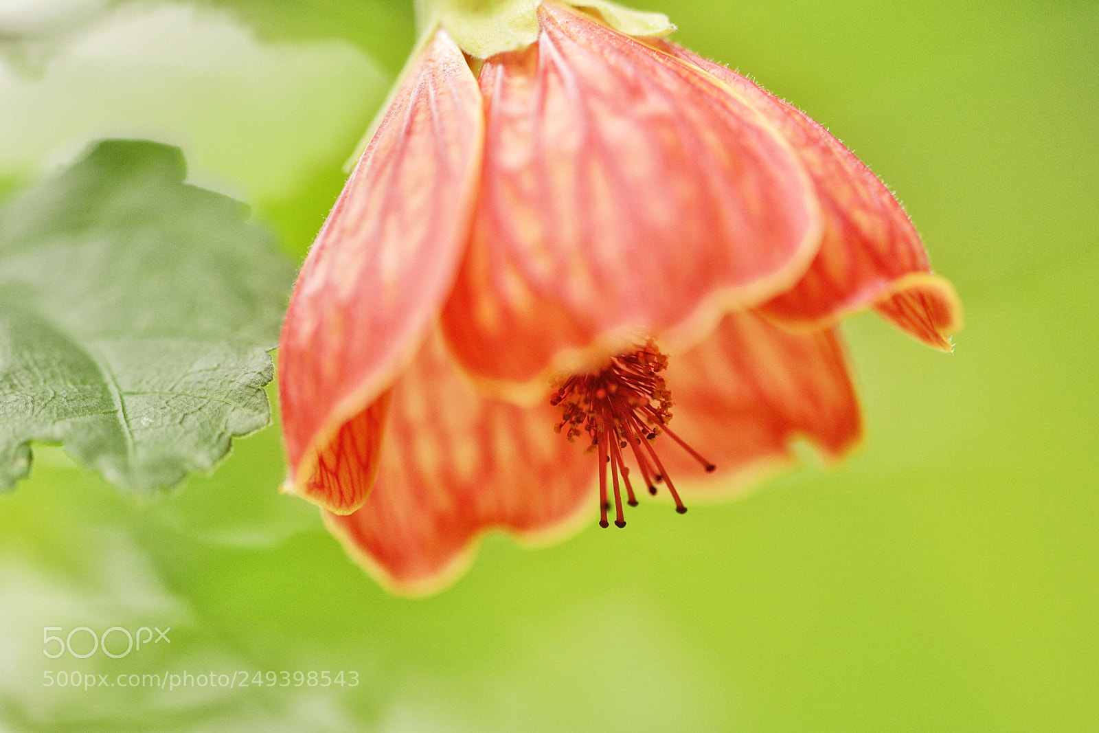 Canon EOS 5D Mark IV sample photo. Untitled photography