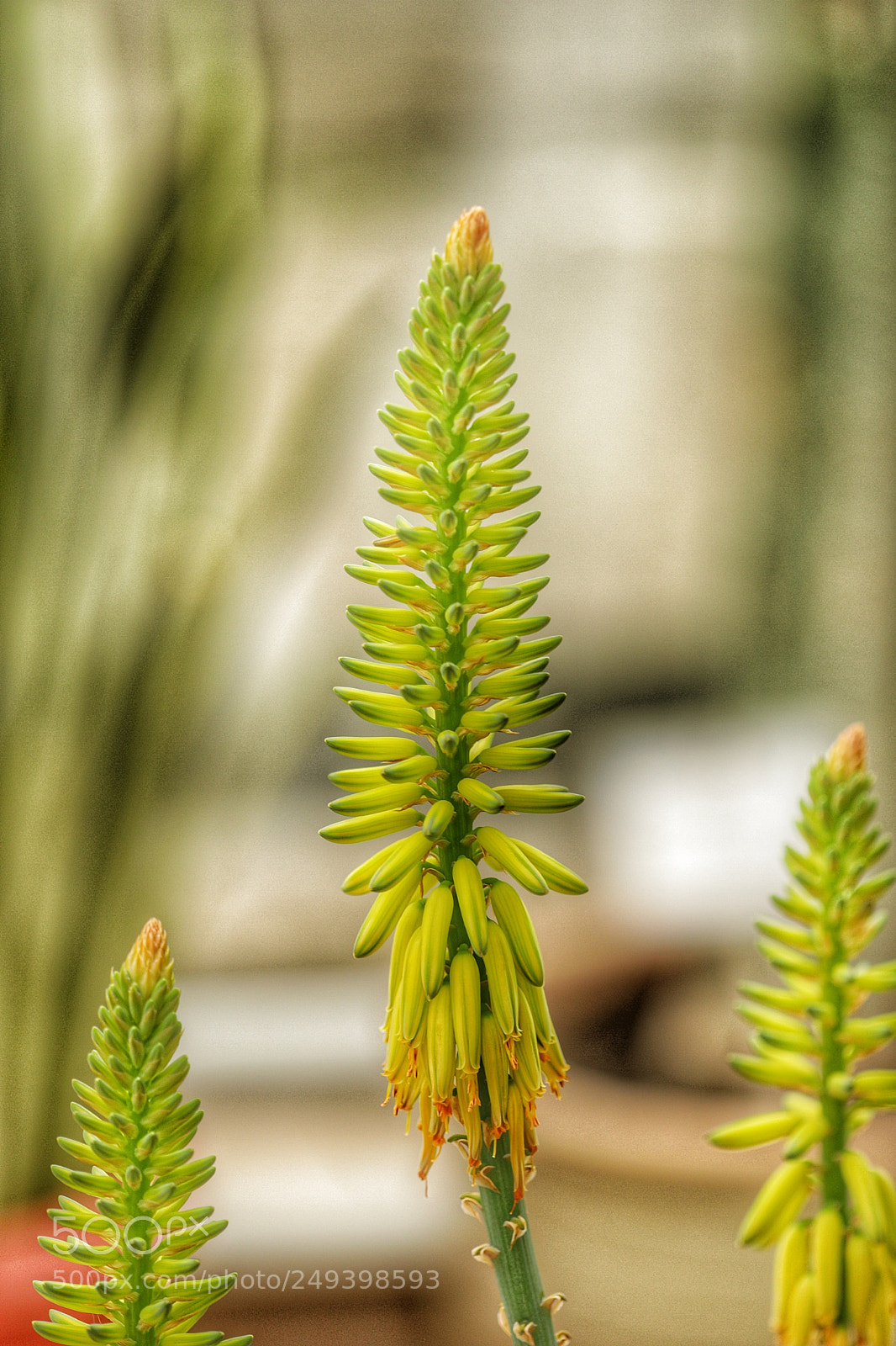 Canon EOS 5D Mark IV sample photo. Untitled photography