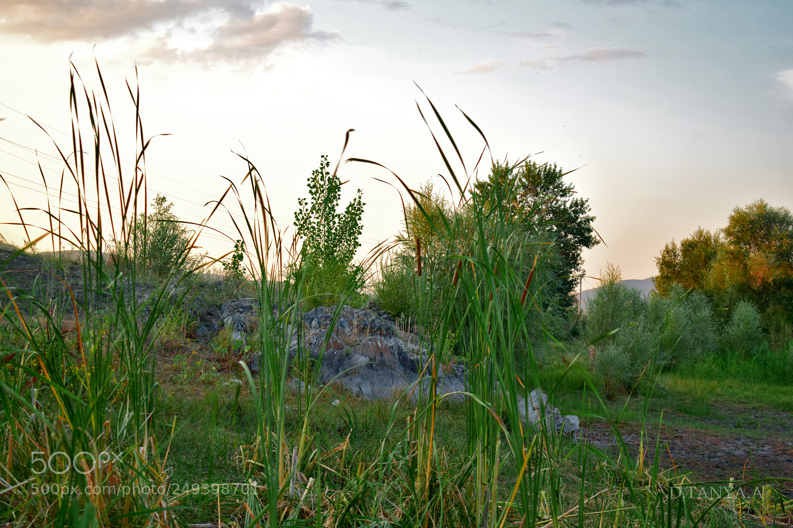 Nikon D3300 sample photo. Ловец закатов photography
