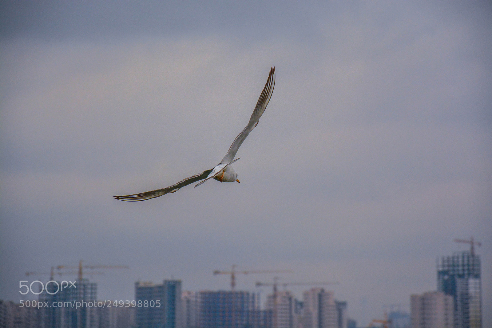 Nikon D7100 sample photo. Untitled photography