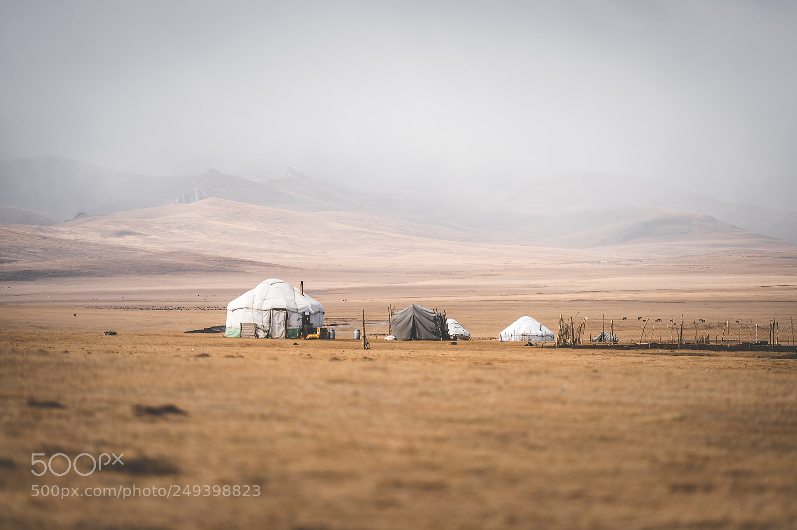 Nikon Df sample photo. Nomadic setting photography