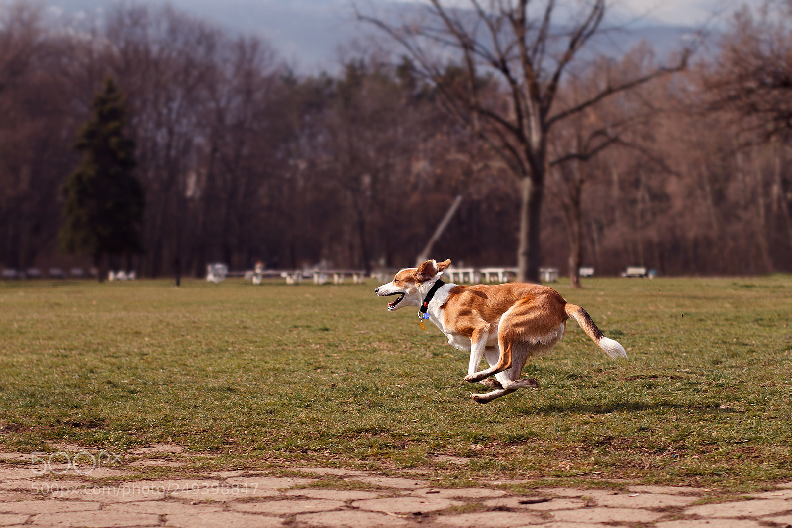 Canon EOS 7D sample photo. Libertad, sancho!... photography