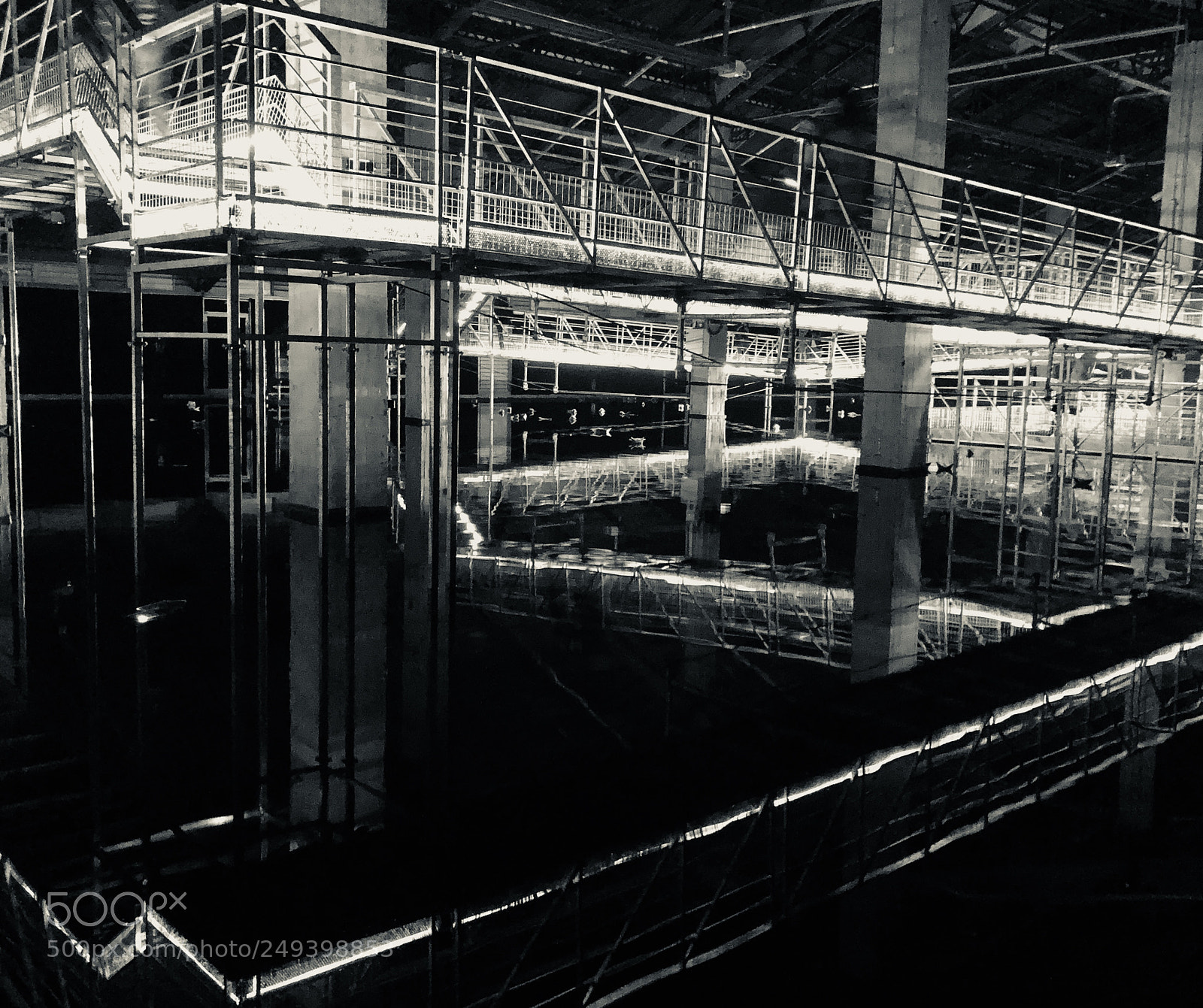 Apple iPhone 8 sample photo. Amor fati photography