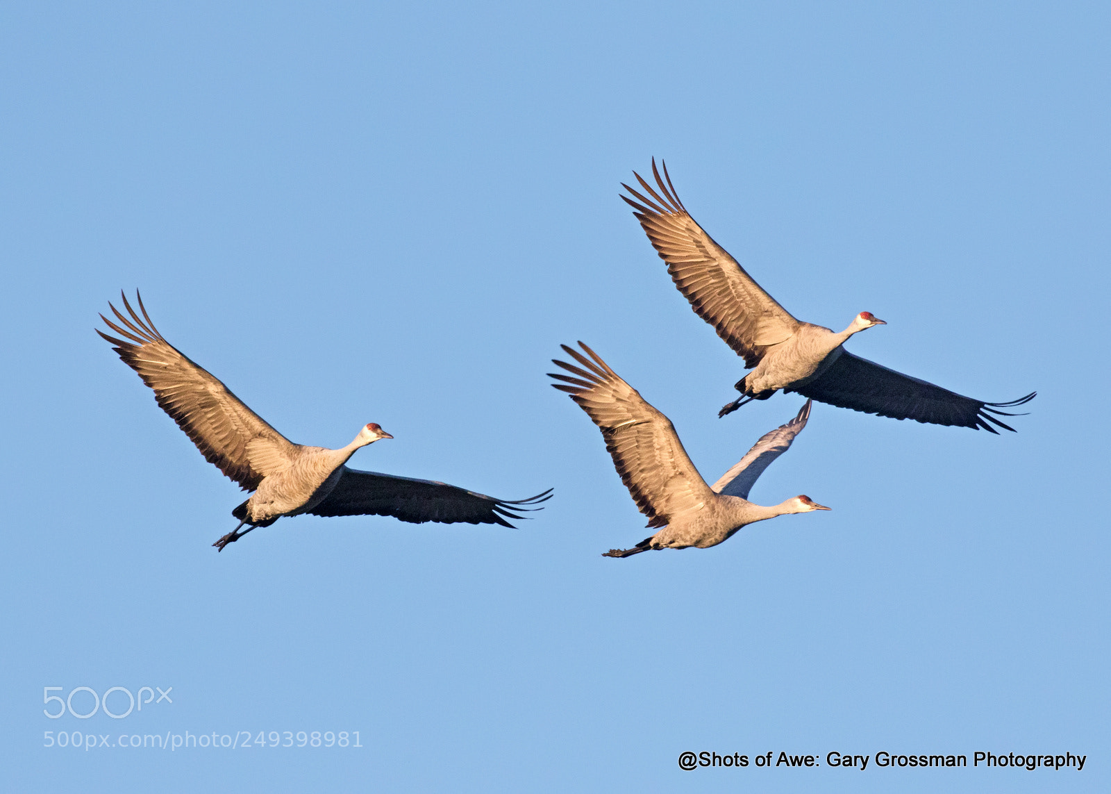 Canon EOS 7D Mark II sample photo. Flying trio photography