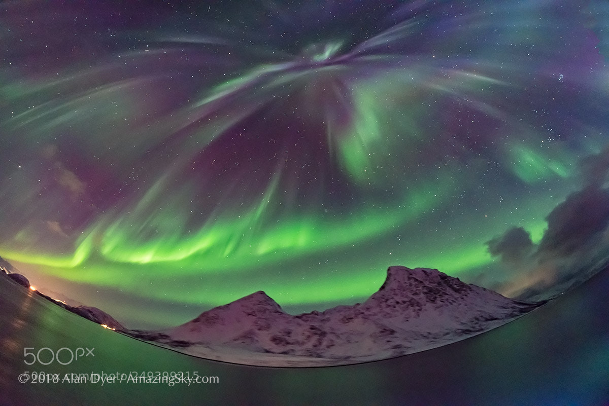 Nikon D750 sample photo. All-sky aurora from norway #1 photography