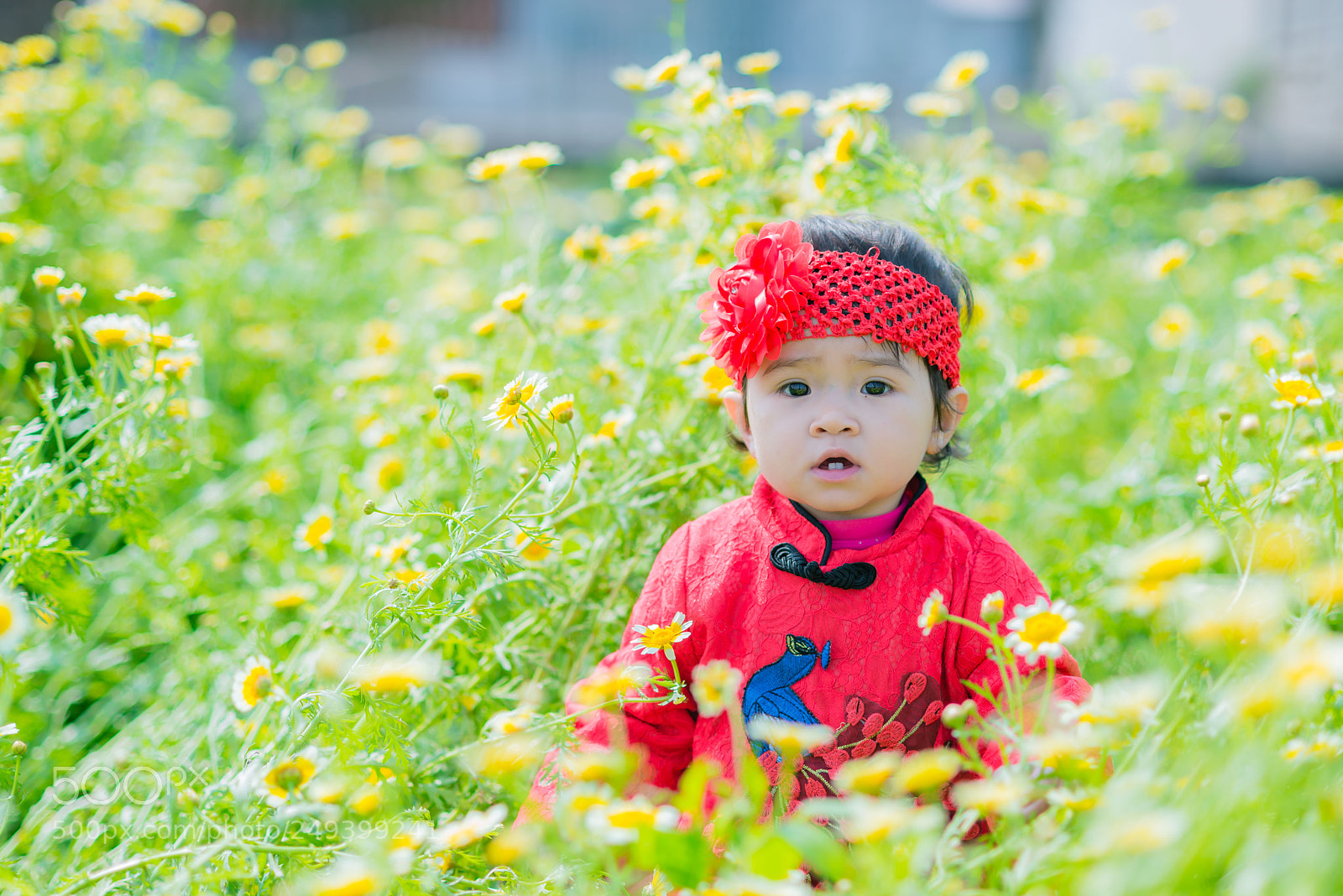 Nikon D610 sample photo. 6.jpg photography