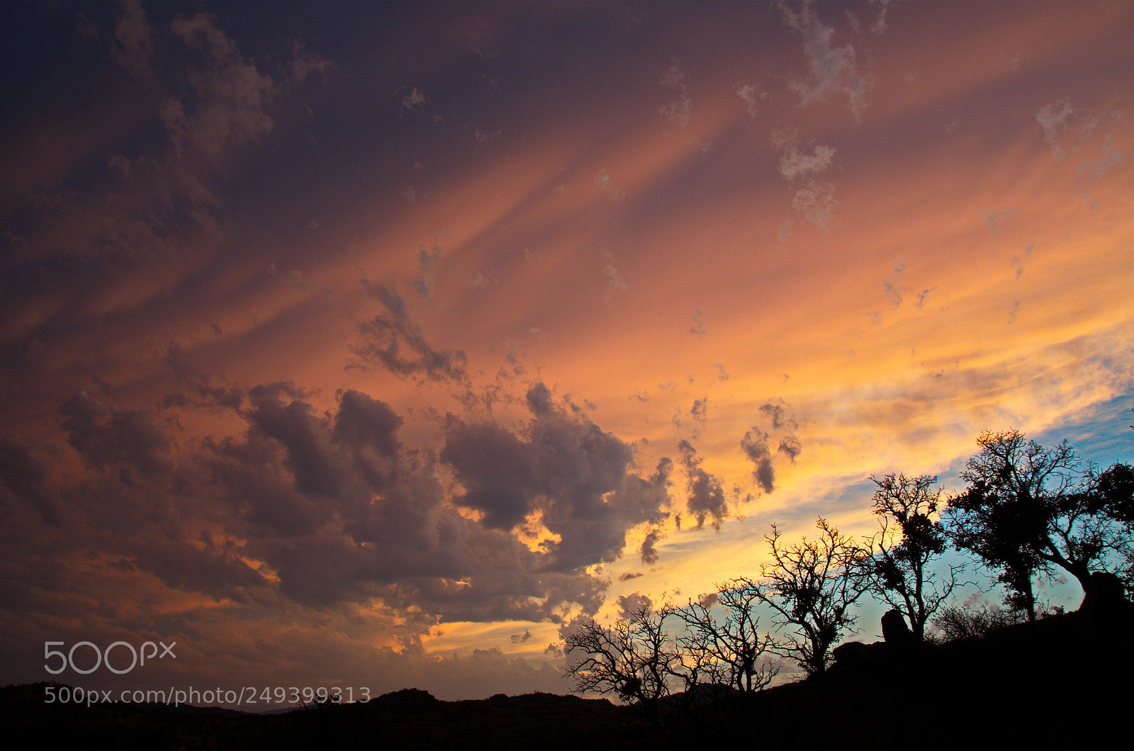 Nikon D7000 sample photo. Beautiful nature photography