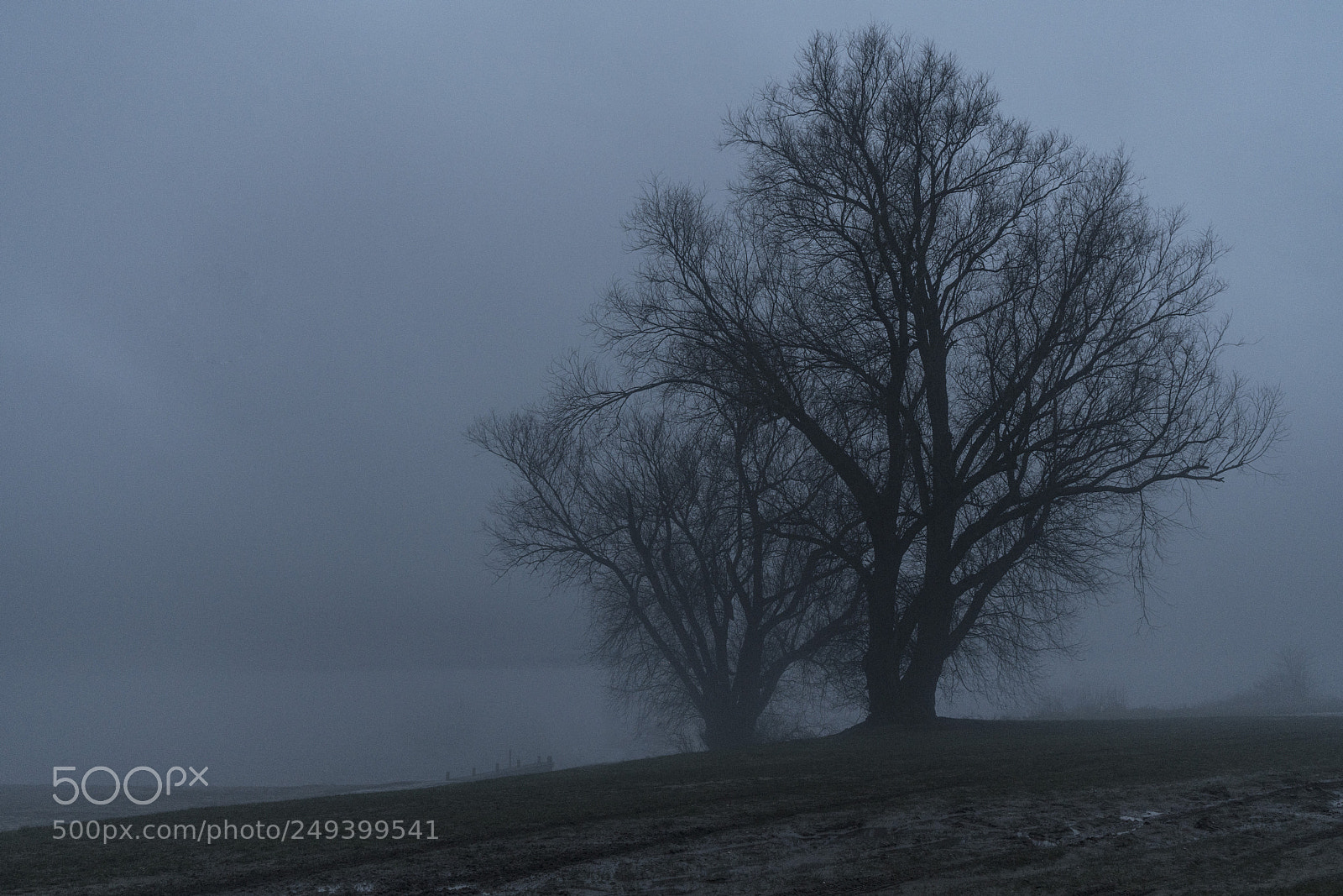 Sony a7R II sample photo. Foggy weather photography