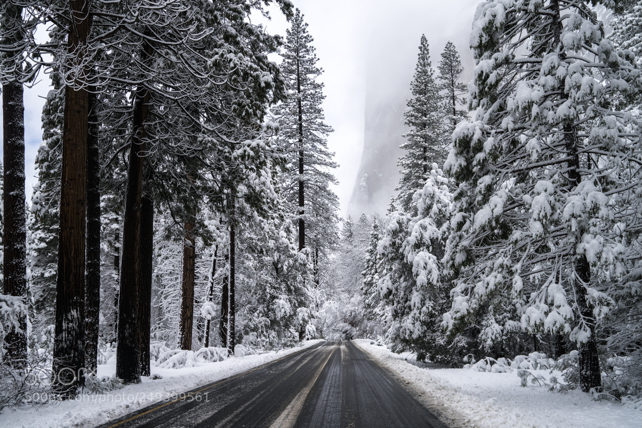 Sony a7R II sample photo. El capitan emerges photography