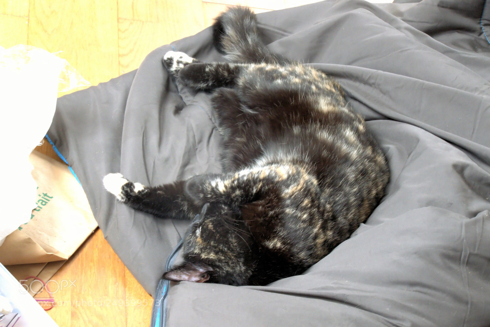 Panasonic Lumix DMC-FZ1000 sample photo. () photography