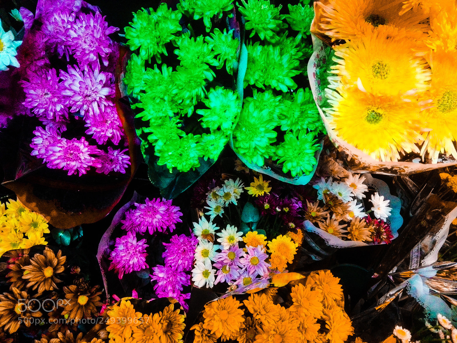HUAWEI Y6II sample photo. Bouquet of flowers photography