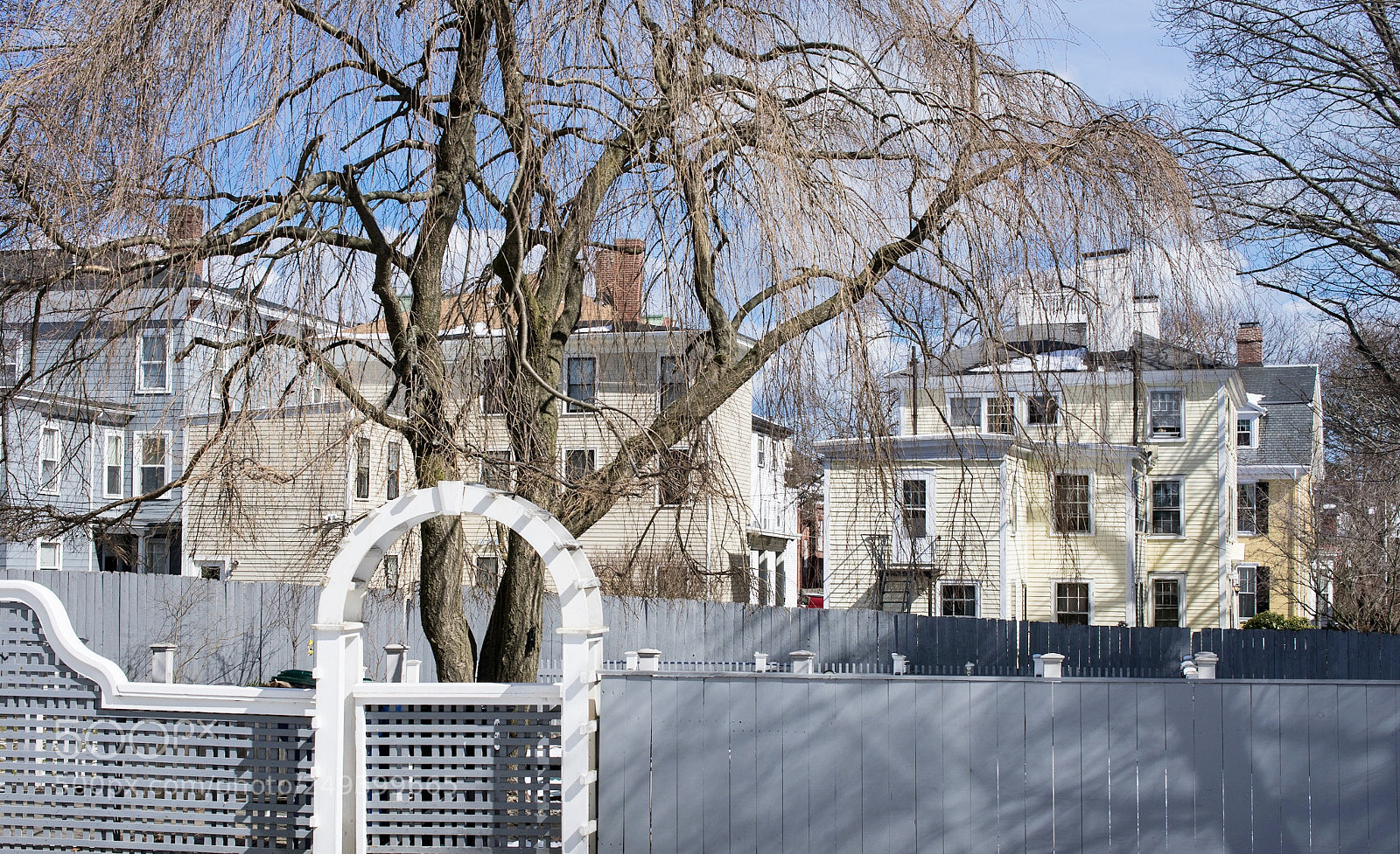Nikon D3400 sample photo. Dsc 0326d3400 salem, ma photography