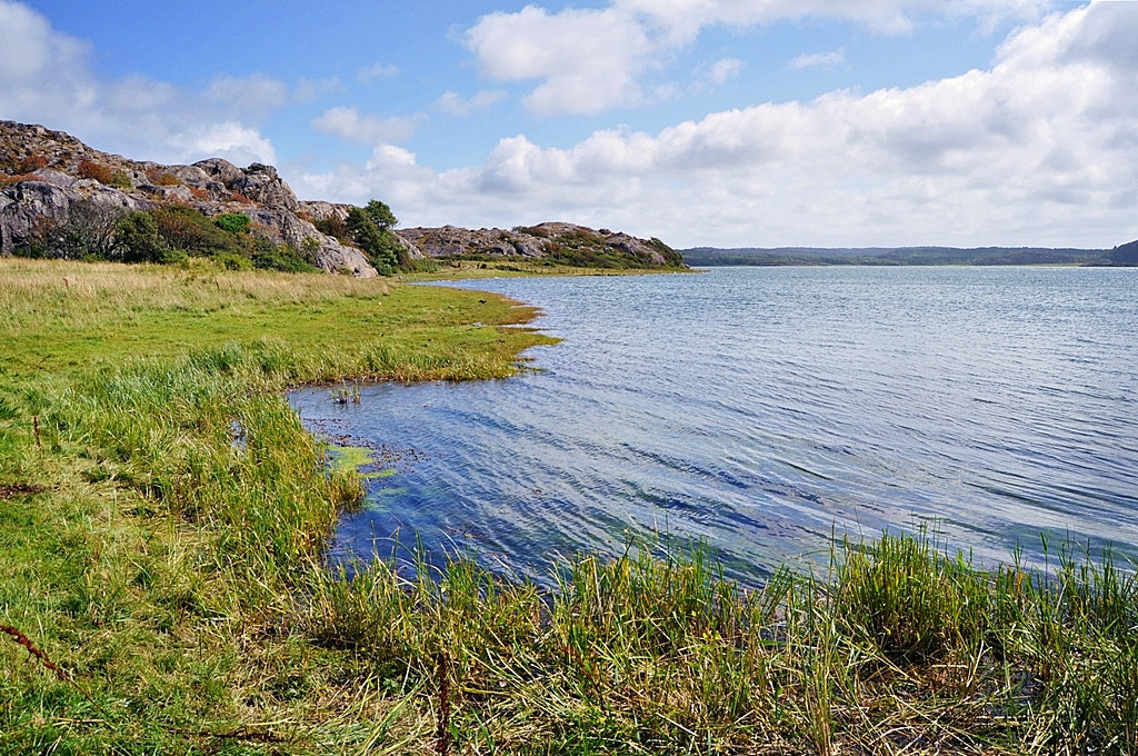 Nikon D5000 sample photo. Summer on tjörn photography