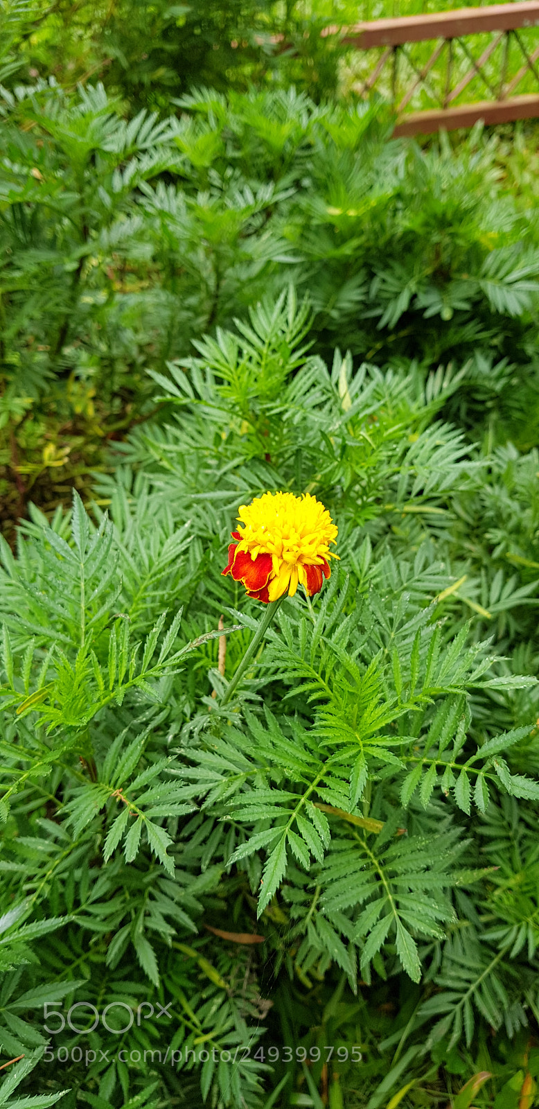 Samsung Galaxy S8+ sample photo. Untitled photography