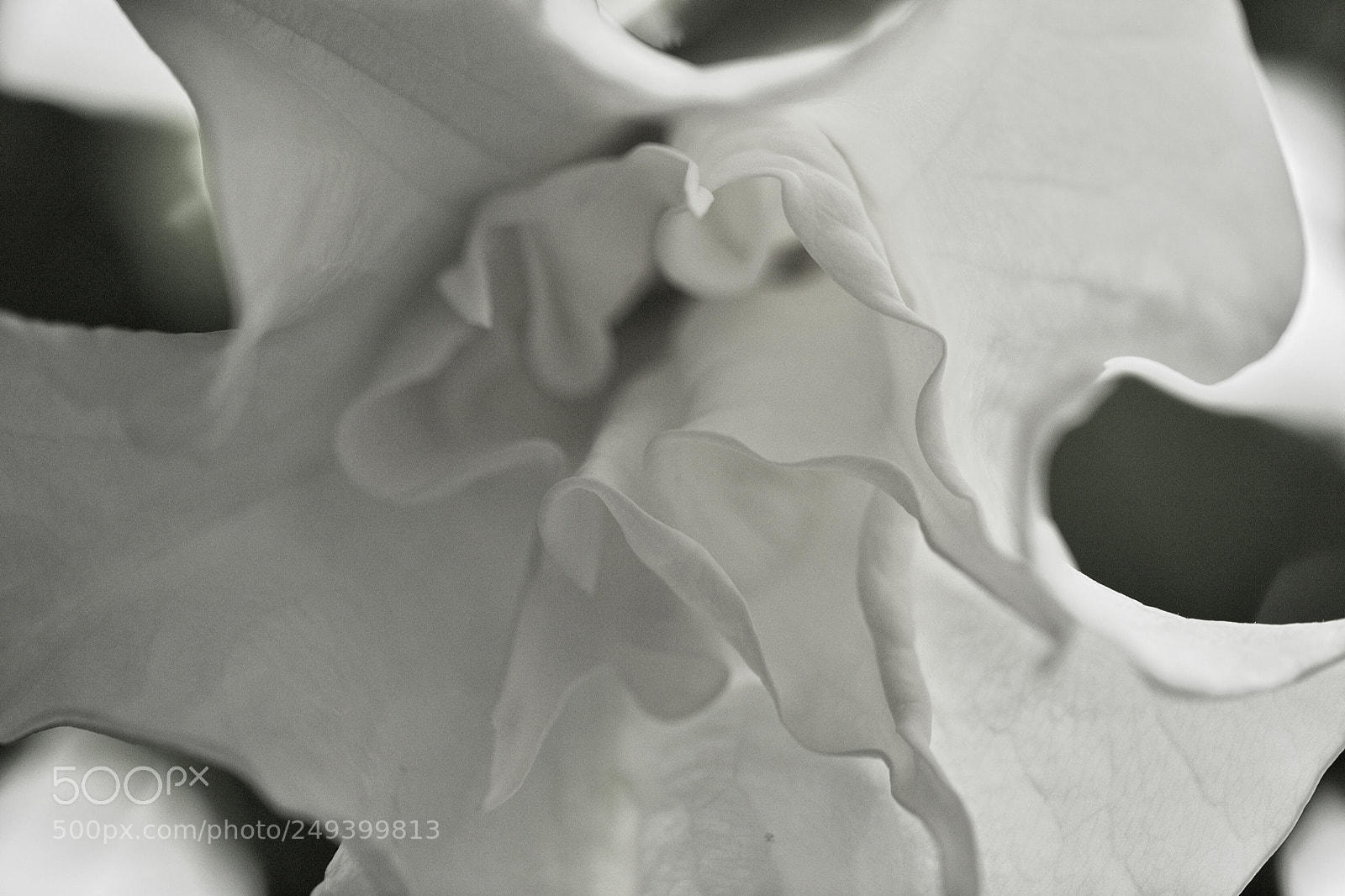 Canon EOS 5D Mark IV sample photo. Untitled photography