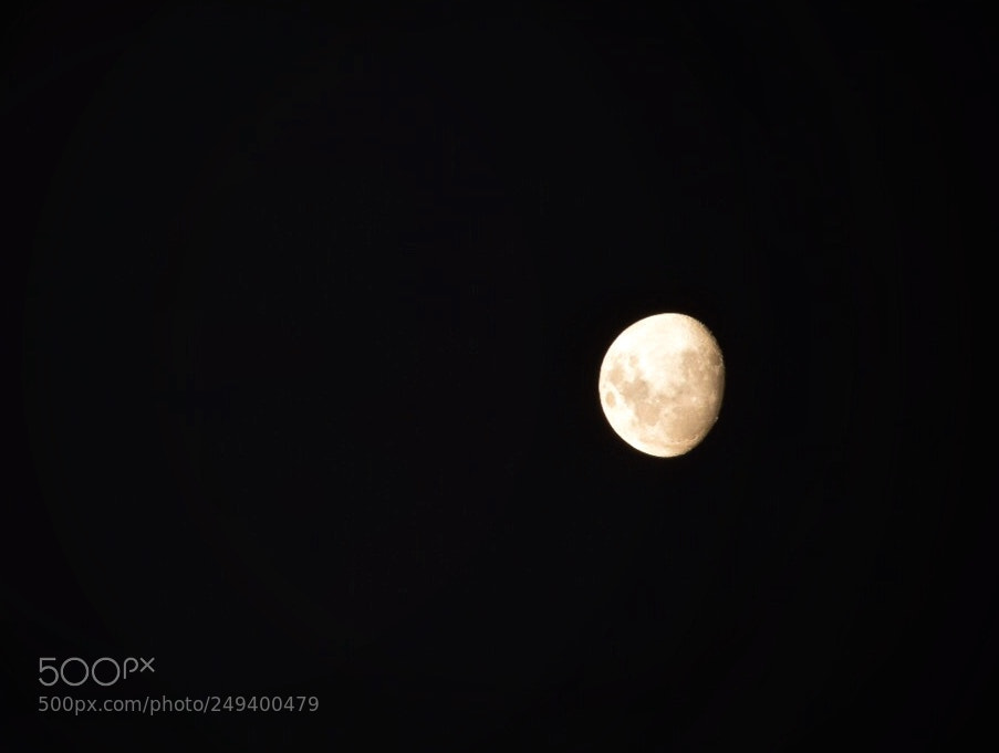 Nikon D5300 sample photo. Moon. photography