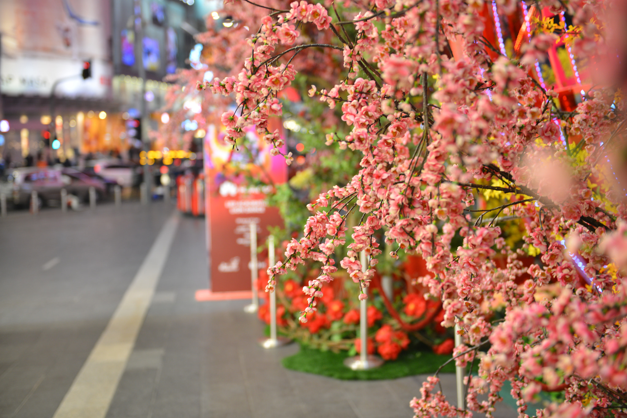 Nikon AF-S Nikkor 24-70mm F2.8G ED sample photo
