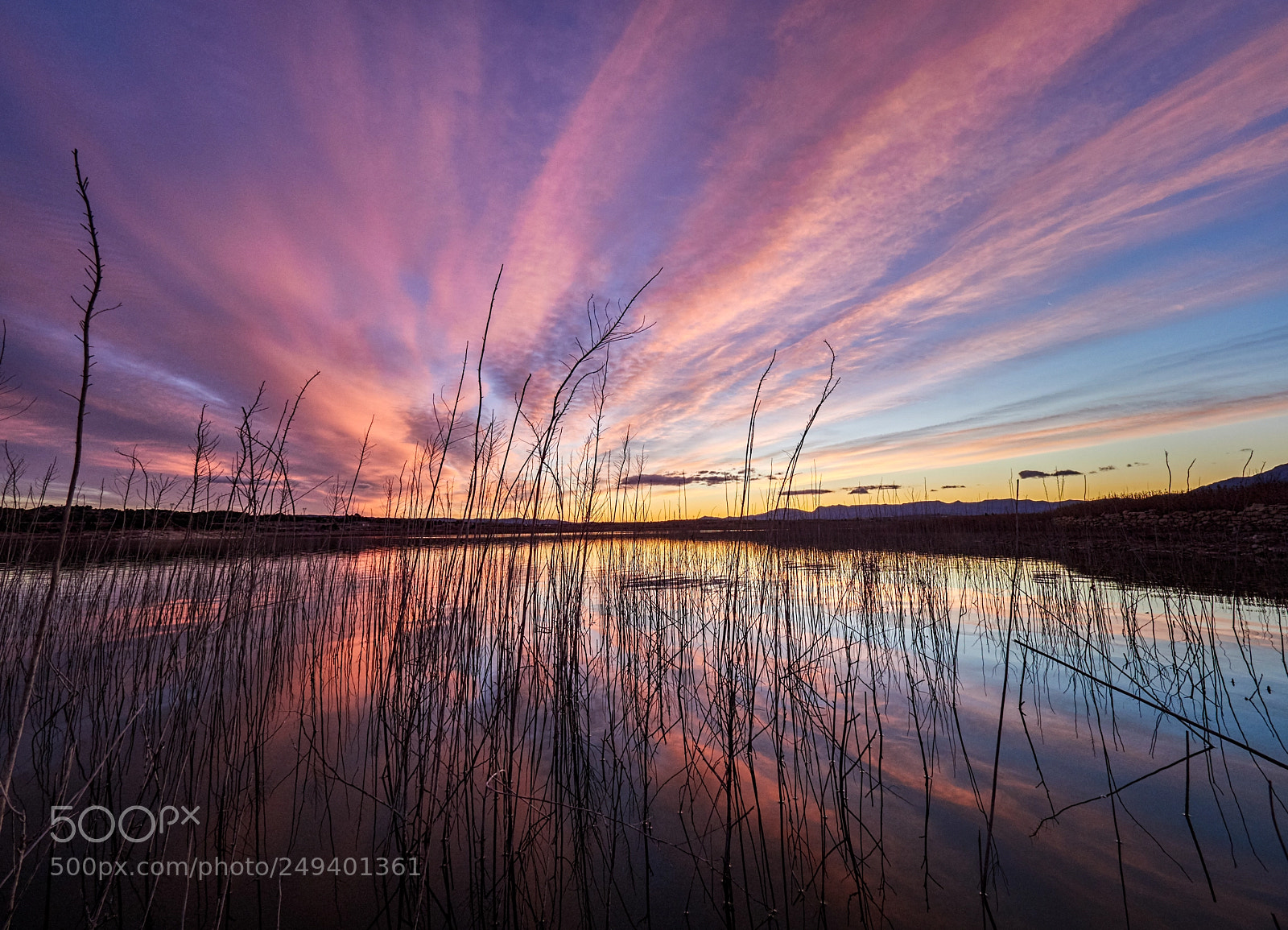 Olympus OM-D E-M1 Mark II sample photo. Amanecer en bellus photography