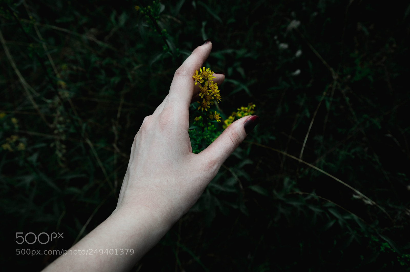 Nikon D5100 sample photo. Untitled photography