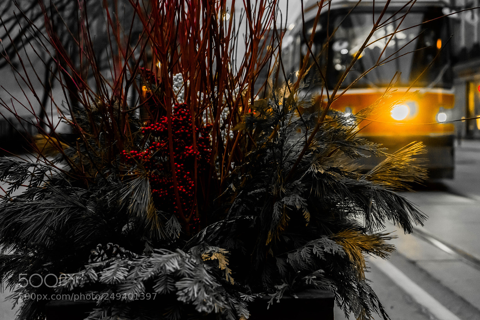 Sony a7 sample photo. Amarch () photography