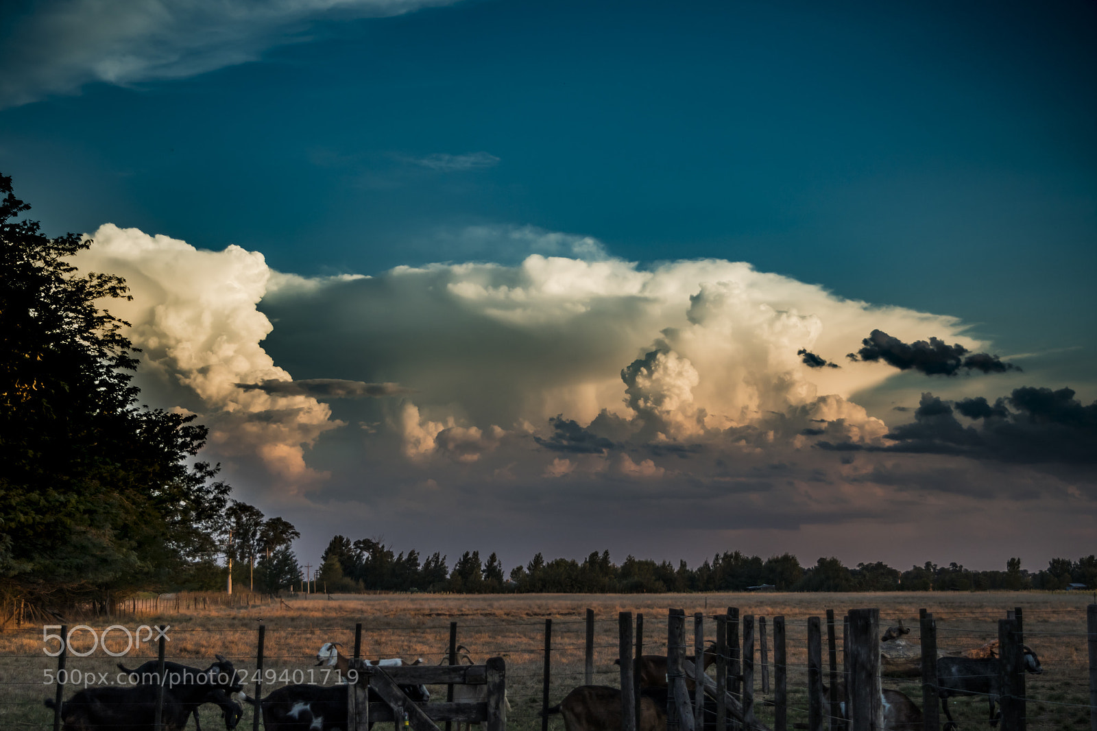 Nikon D5500 sample photo. Nubes en el horizonte photography