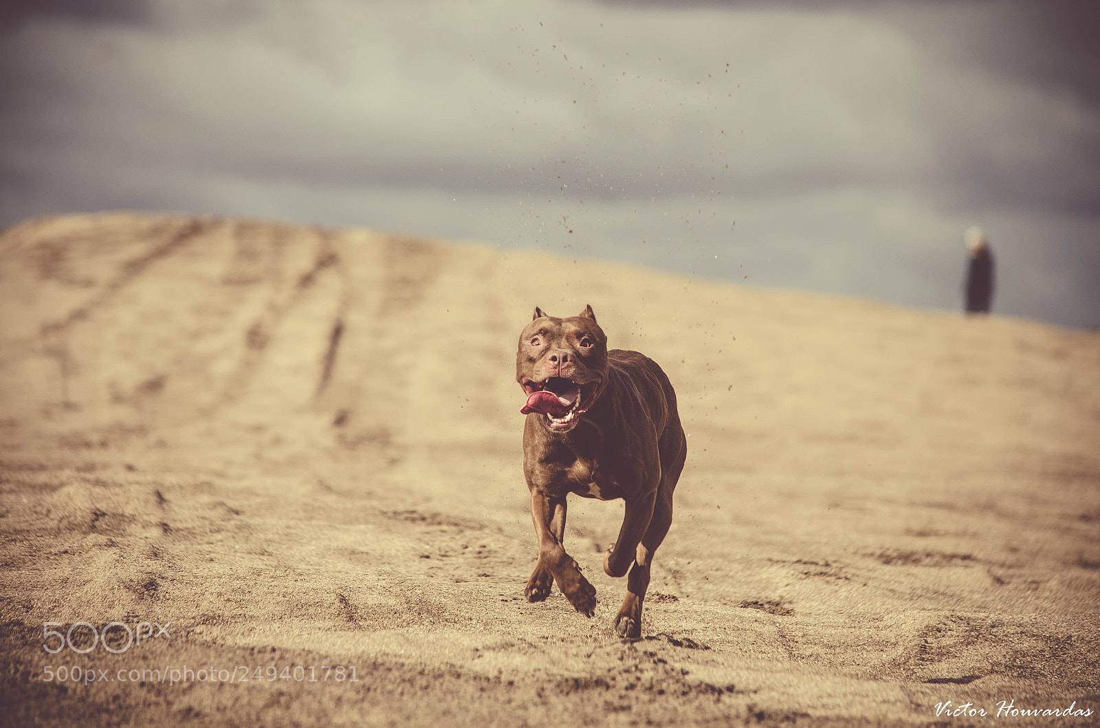 Nikon D7000 sample photo. Corriendo libre photography