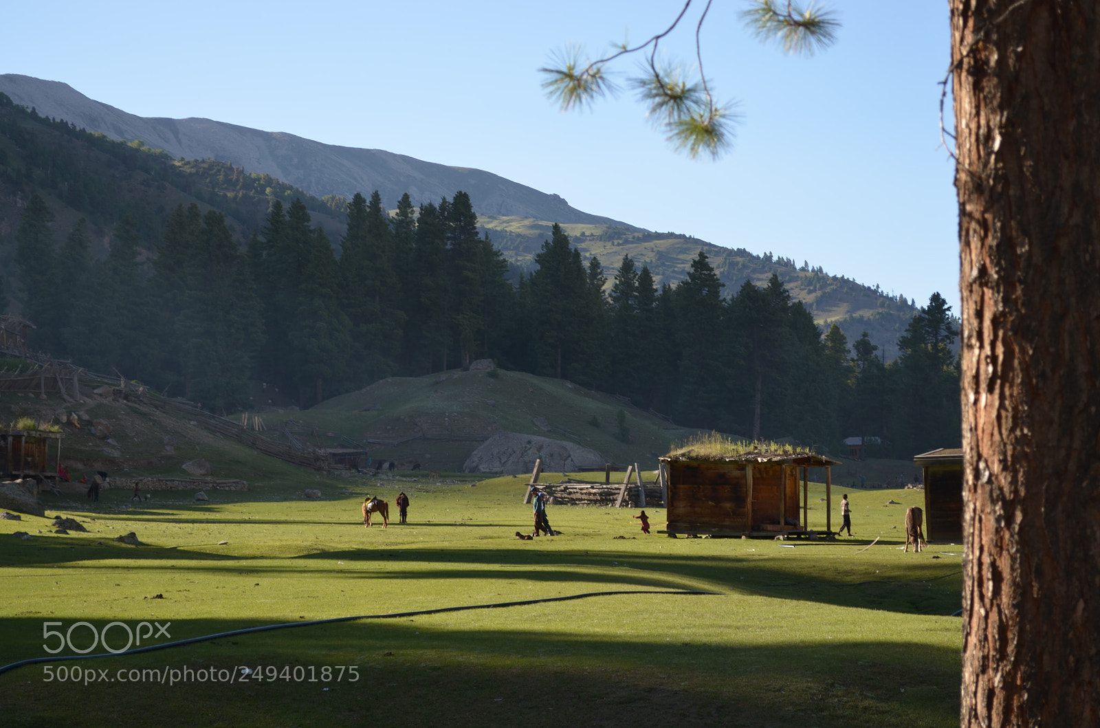Nikon D5100 sample photo. Untitled photography