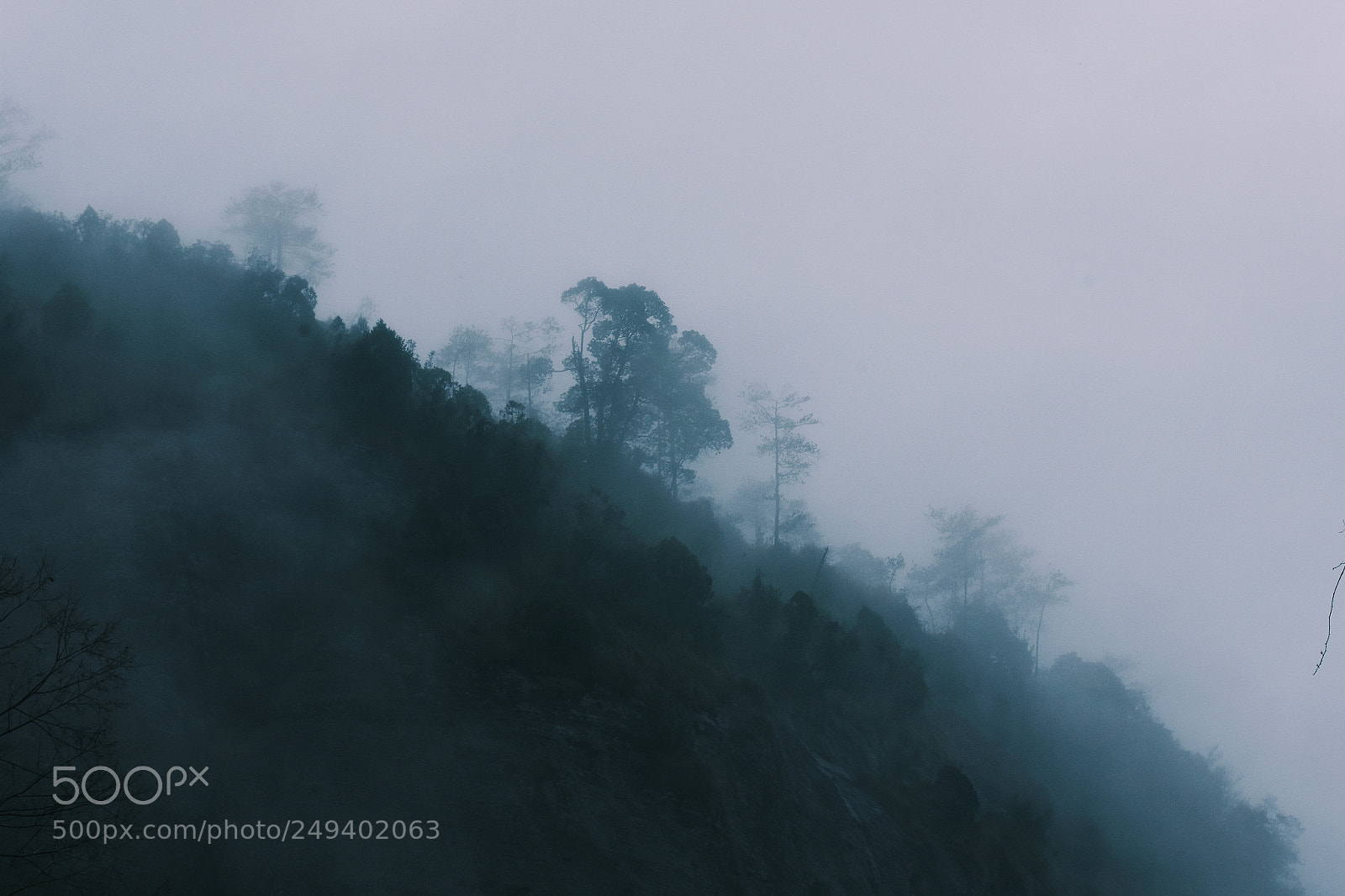 Nikon D7200 sample photo. 天青色等烟雨 photography