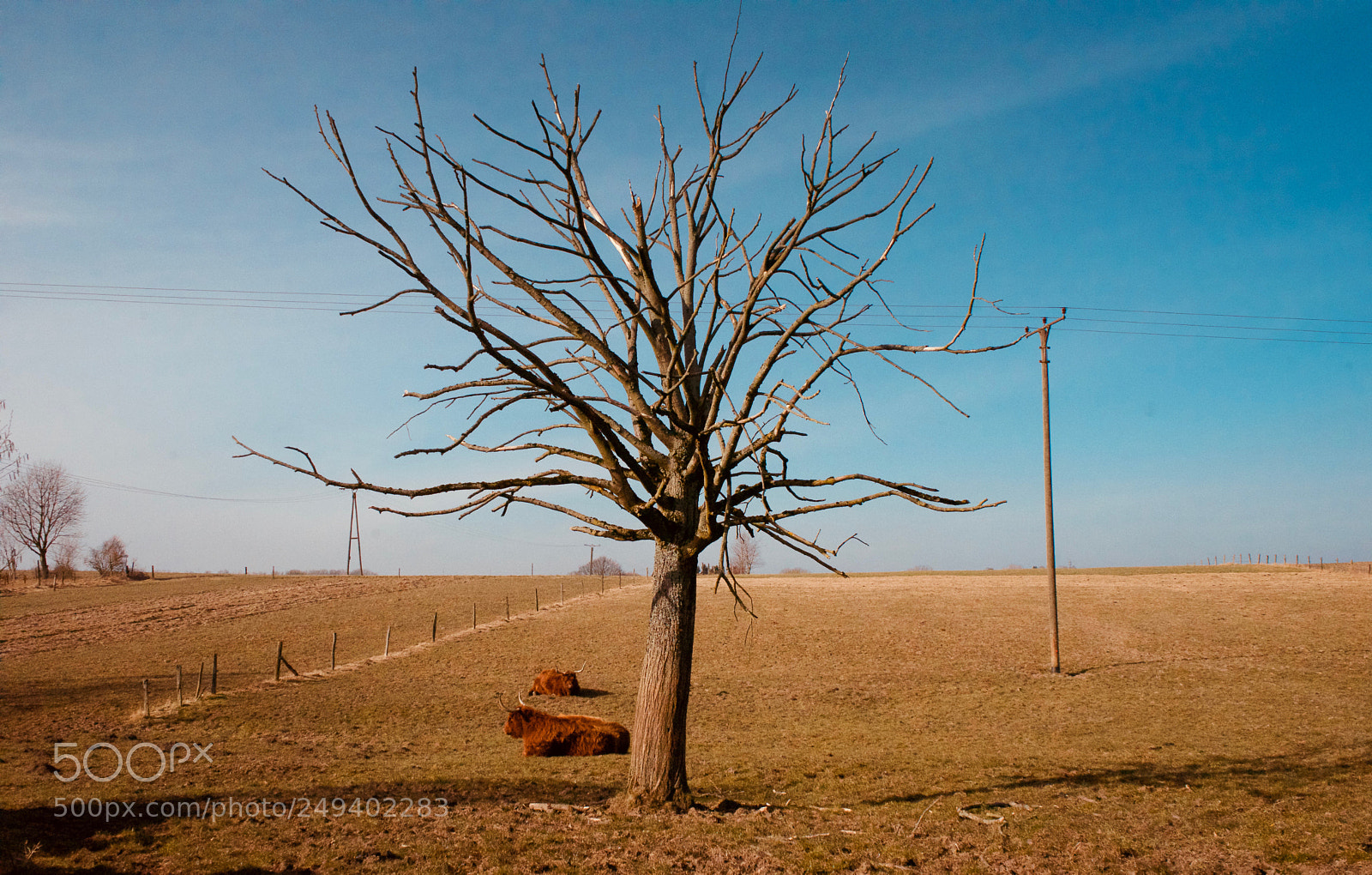 Sony a7 II sample photo. Country road photography