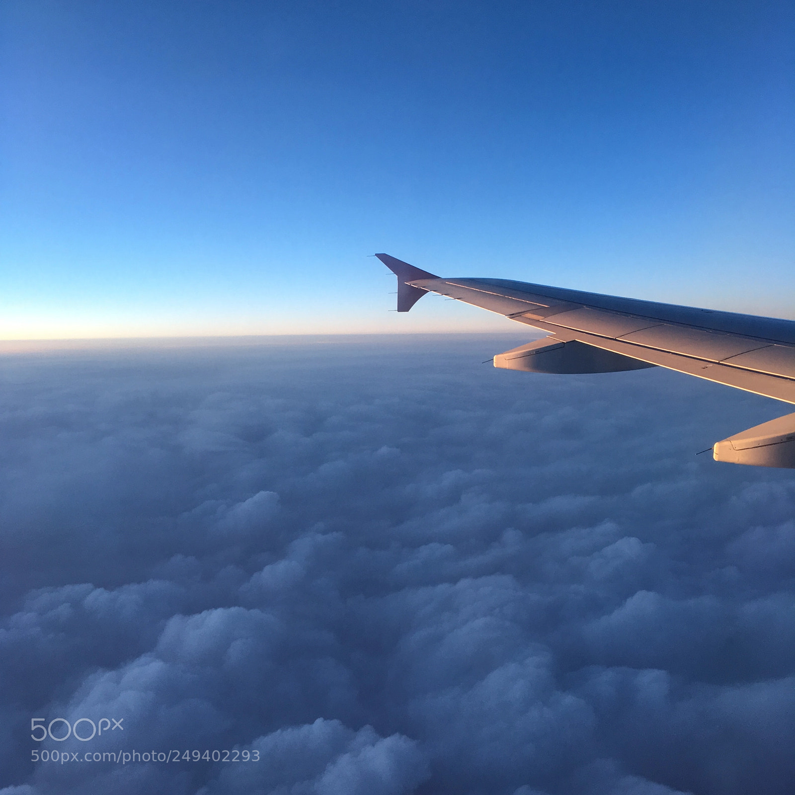 Apple iPhone SE sample photo. Wing photography