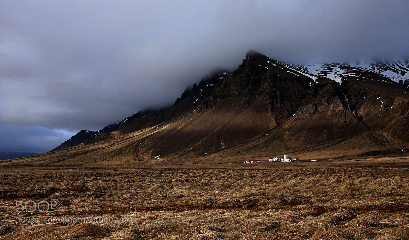 Canon EOS-1Ds Mark III sample photo. Nordic farm photography