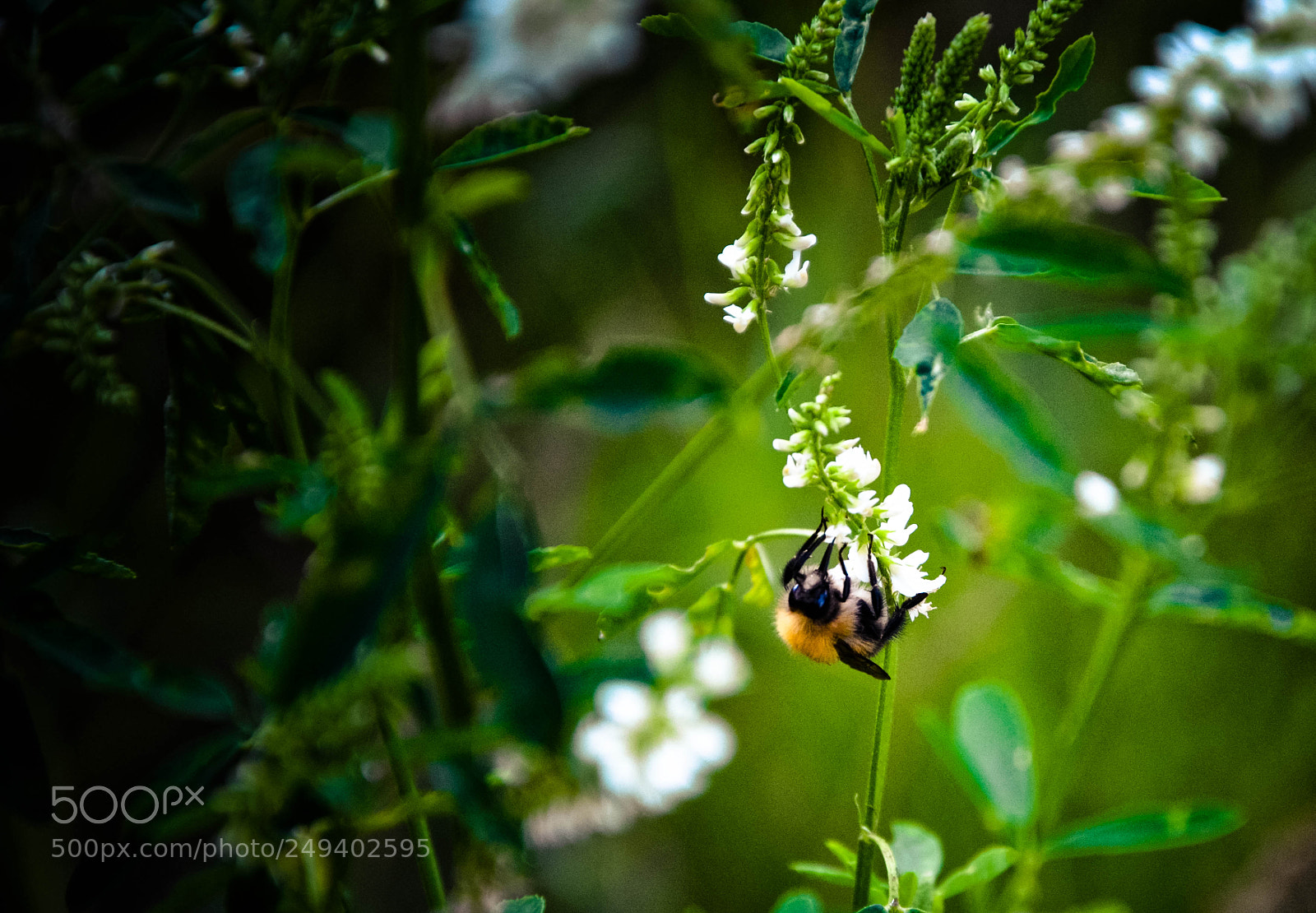 Nikon D5100 sample photo. Untitled photography