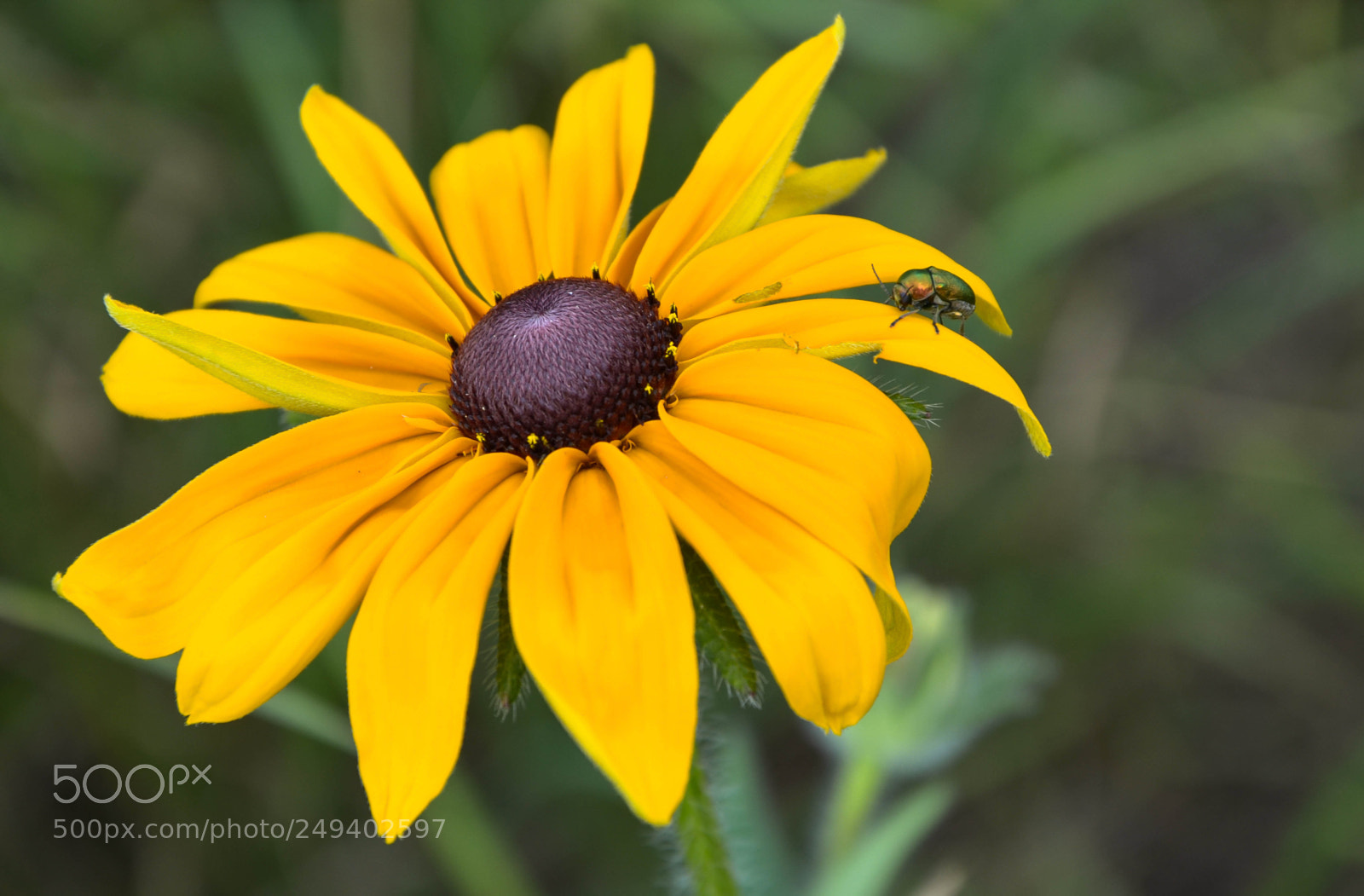 Nikon D5100 sample photo. Untitled photography