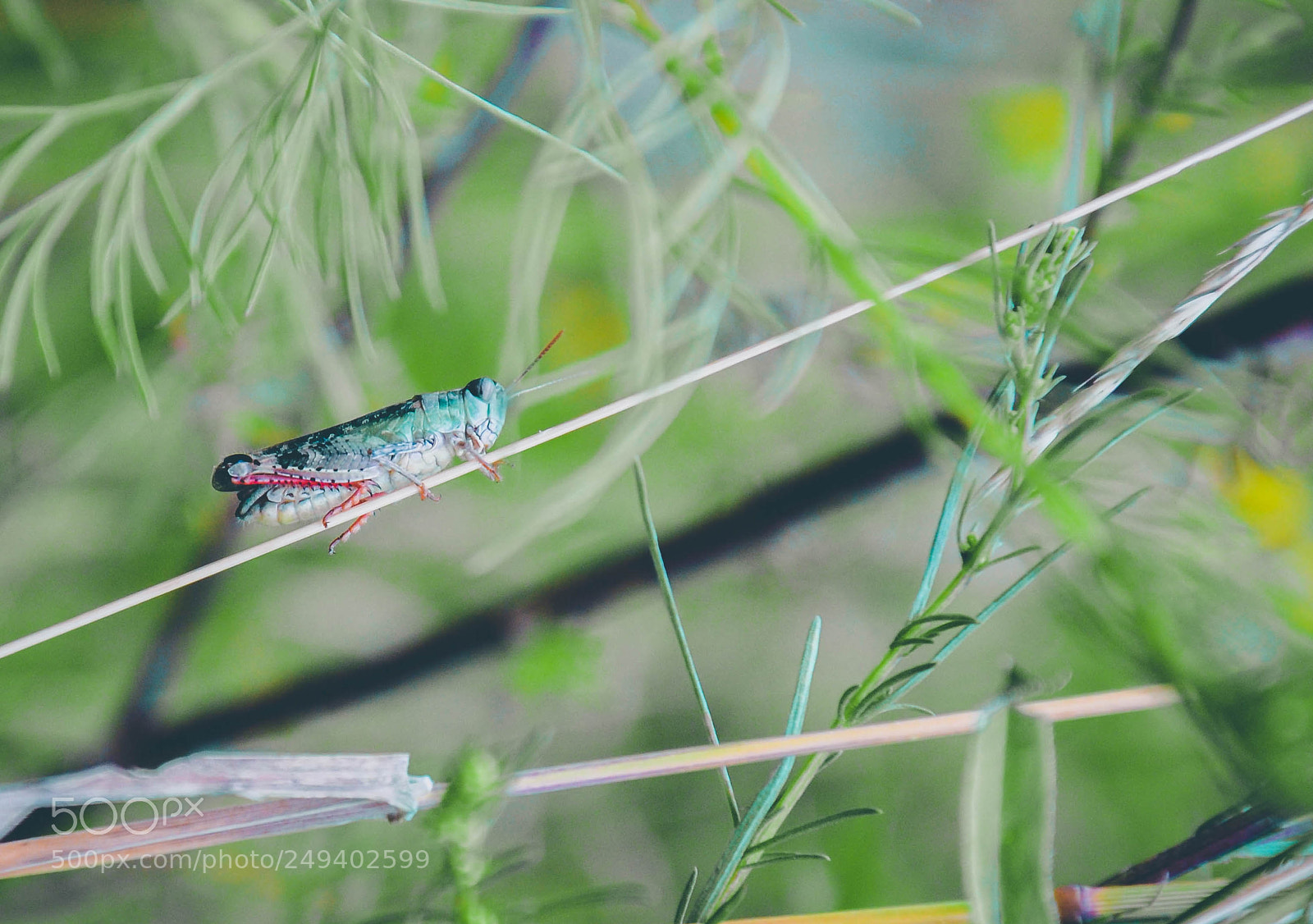 Nikon D5100 sample photo. Untitled photography