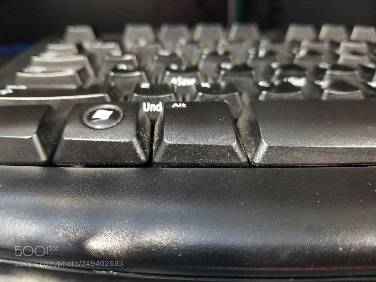 Samsung Galaxy S8 sample photo. Fills the frame photography