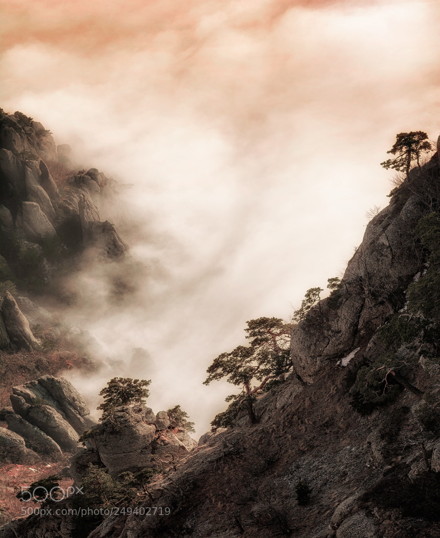Nikon D7100 sample photo. Crimea in japanese style photography