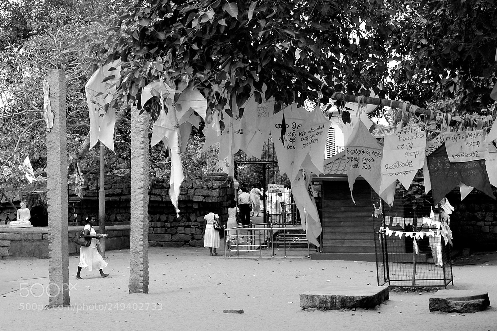 Nikon D5200 sample photo. White photography