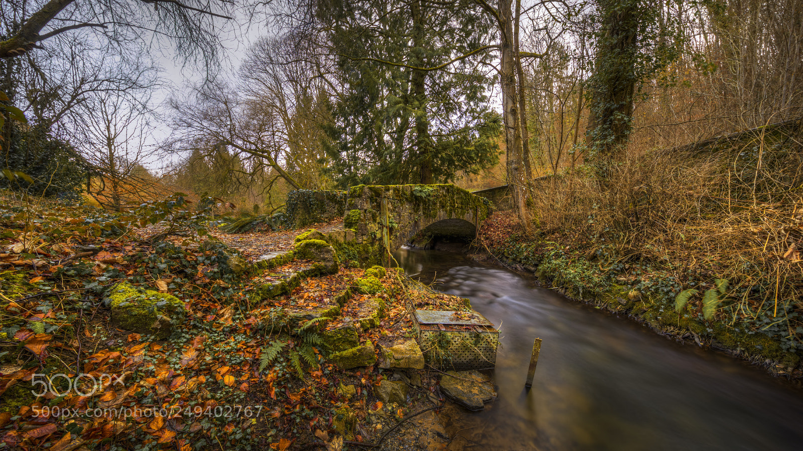 Canon EOS 5D Mark IV sample photo. Little bridge photography