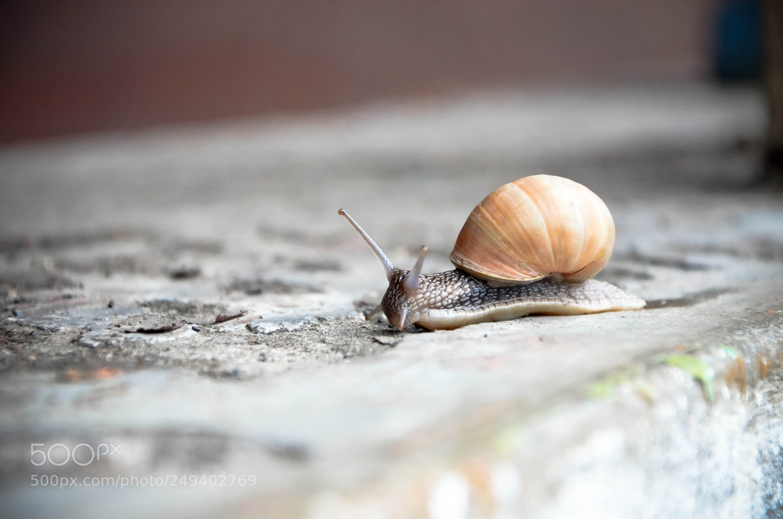 Nikon D5100 sample photo. Untitled photography