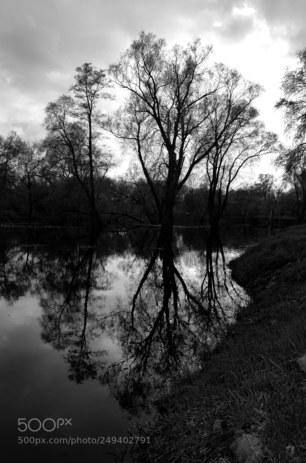 Nikon D5100 sample photo. Untitled photography