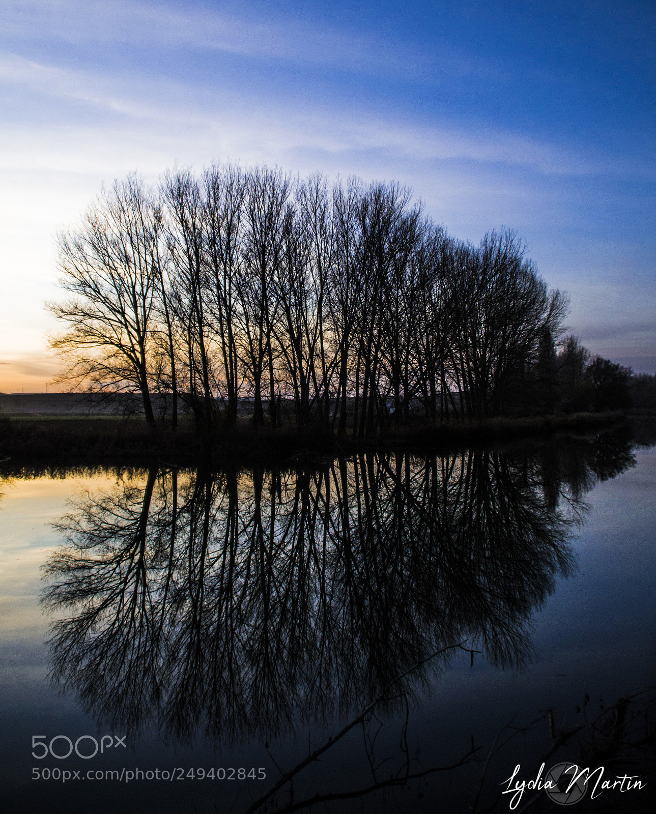 Nikon D3100 sample photo. Reflejos photography