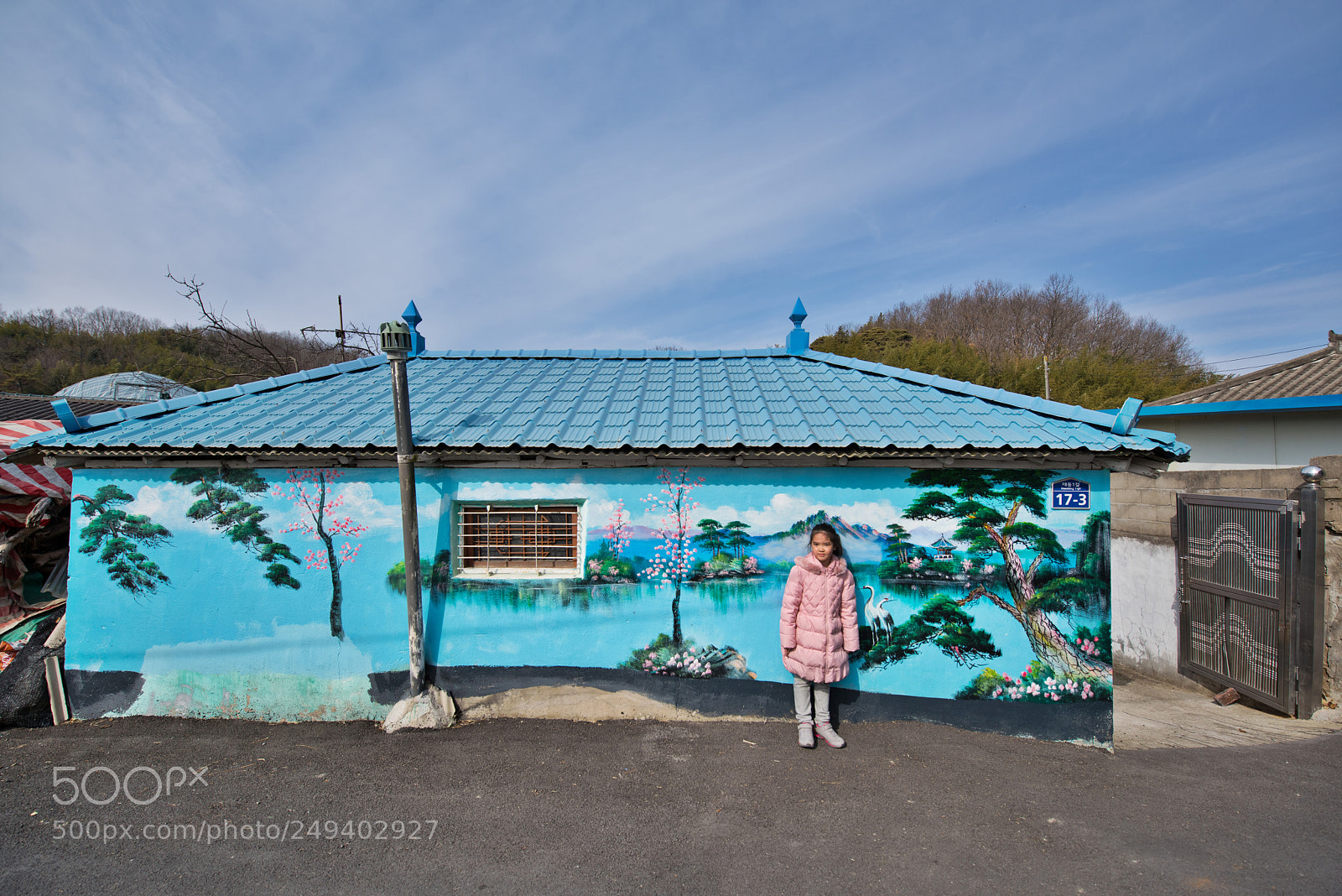 Nikon D810 sample photo. Colorful house photography