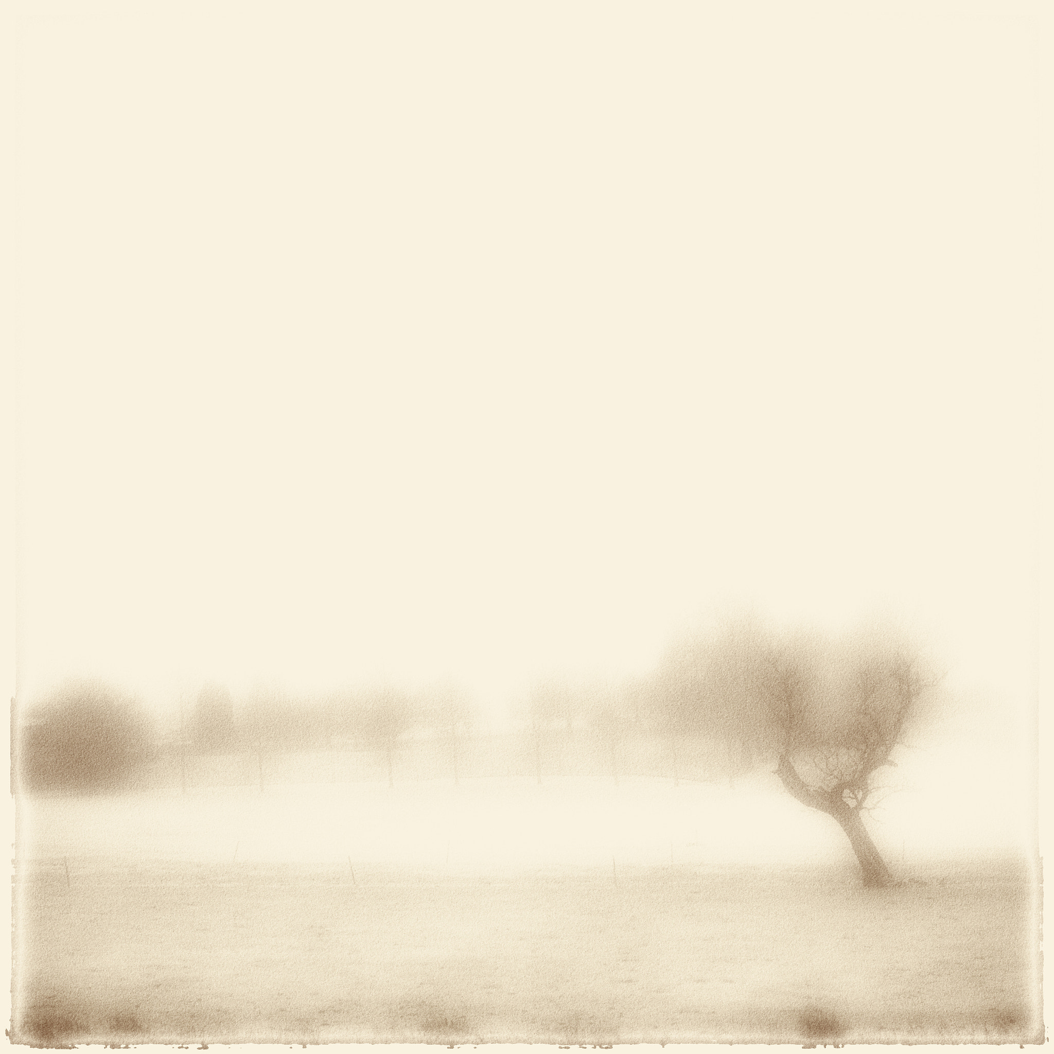 Panasonic Lumix DMC-GF1 sample photo. Pajottenland serie photography
