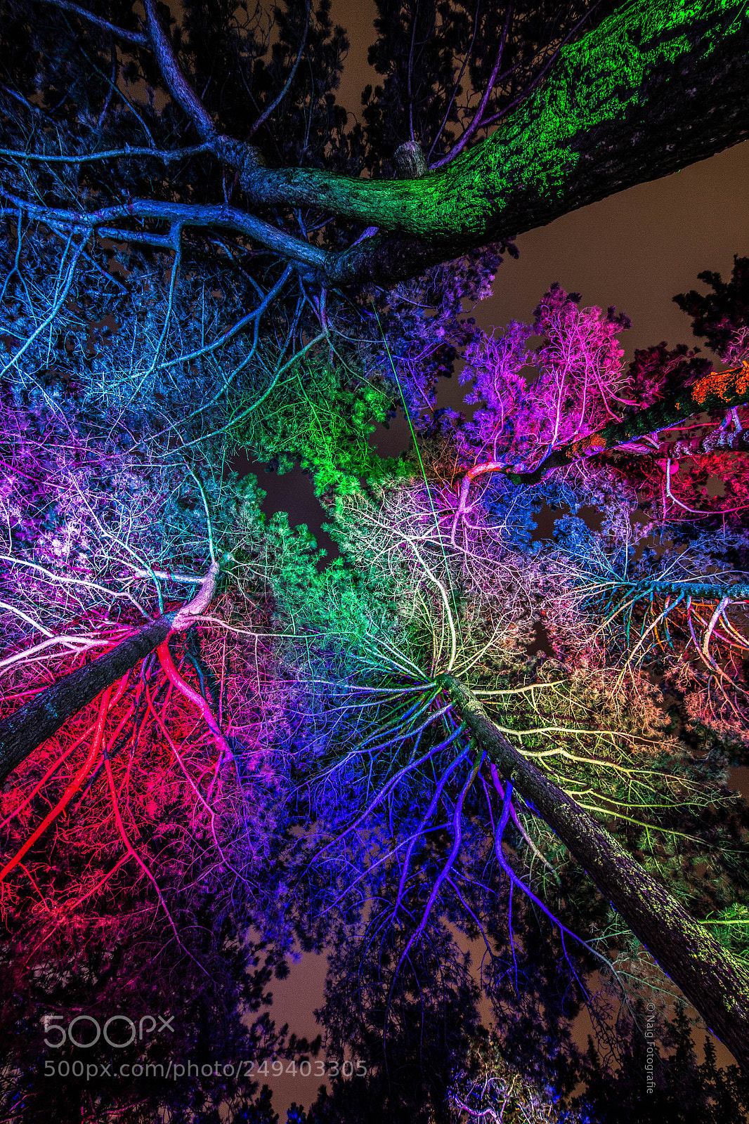 Canon EOS 650D (EOS Rebel T4i / EOS Kiss X6i) sample photo. Lightpainting im park photography