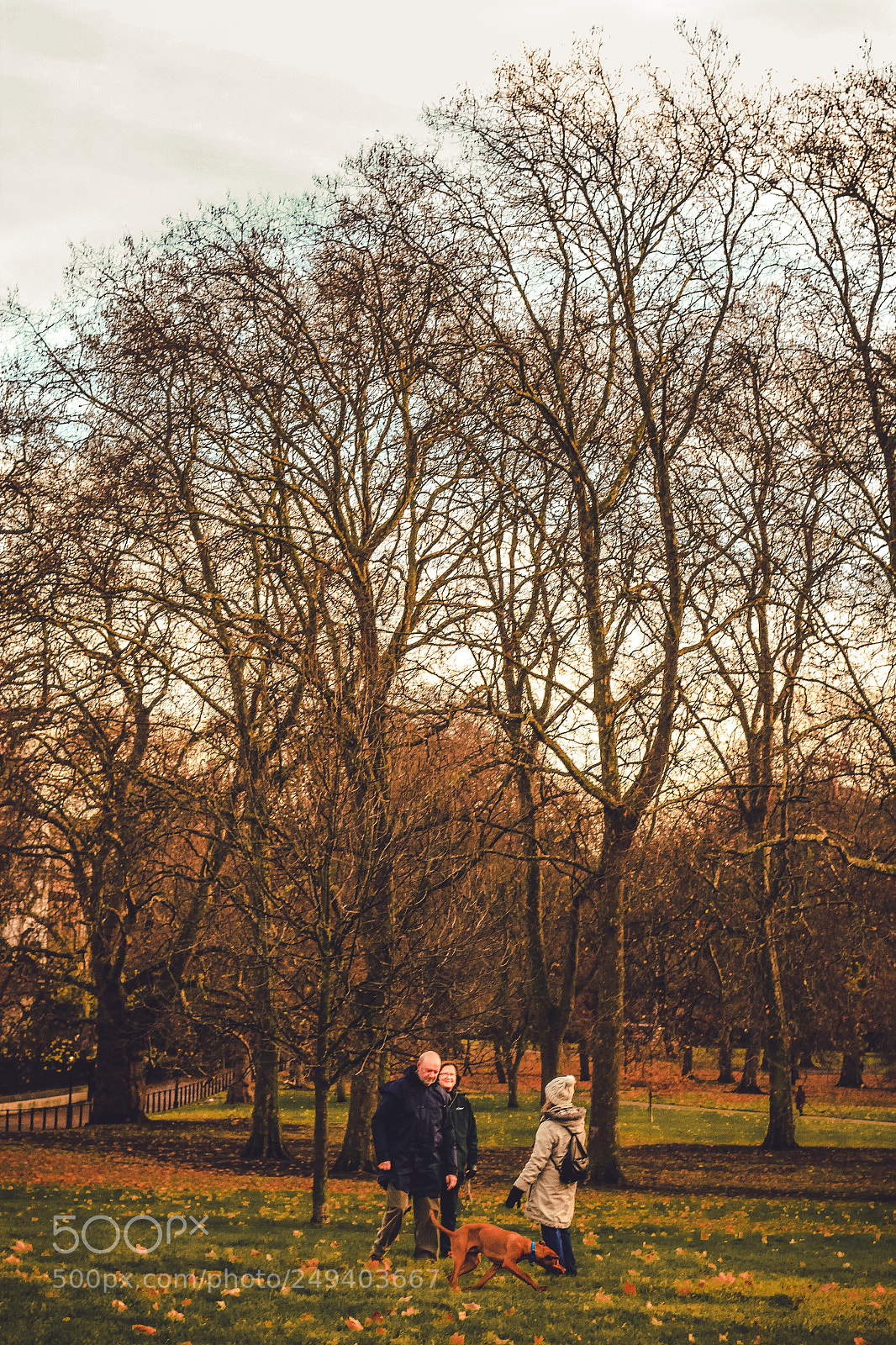 Canon EOS 600D (Rebel EOS T3i / EOS Kiss X5) sample photo. Green park photography