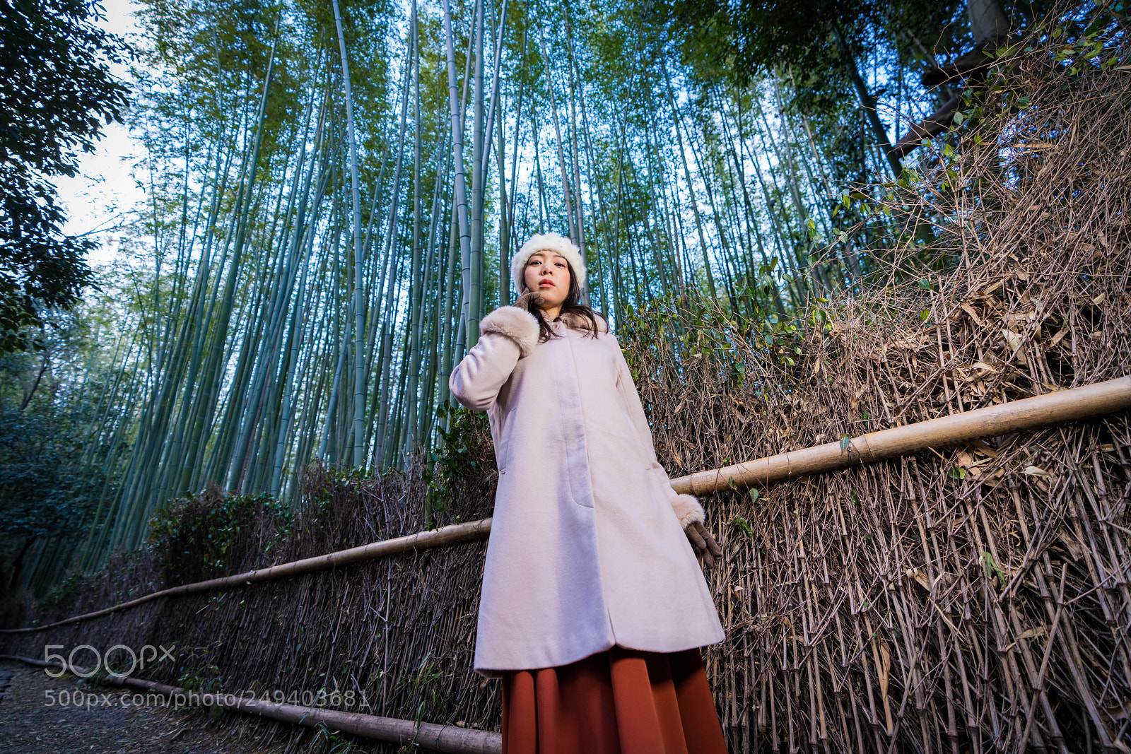 Sony a7R III sample photo. 京都 (嵐山) photography