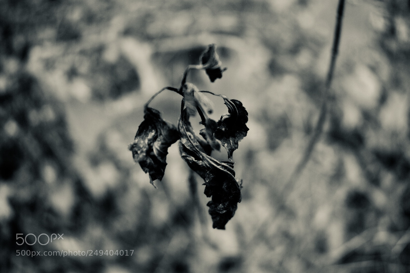 Nikon D3400 sample photo. Untitled photography