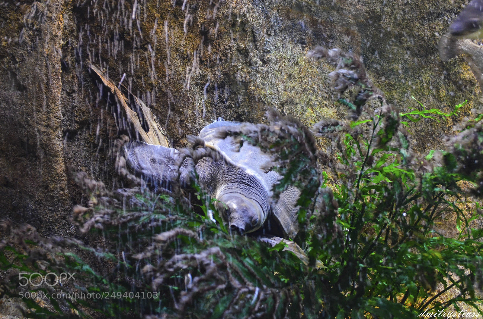 Nikon D5100 sample photo. What are you staring photography